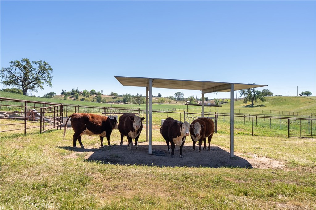 main property photo 57