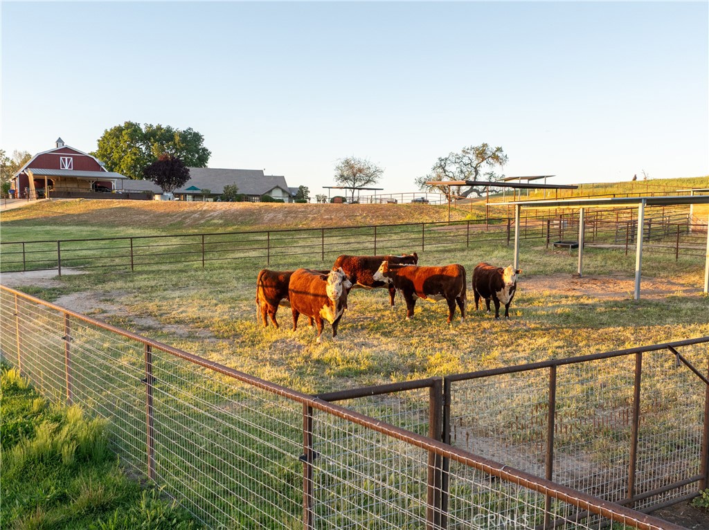 main property photo 65