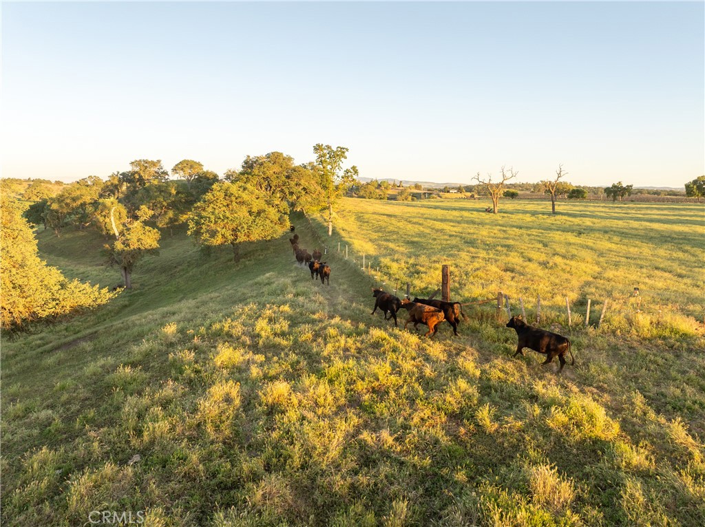 main property photo 66