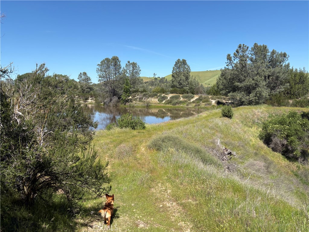 main property photo 7
