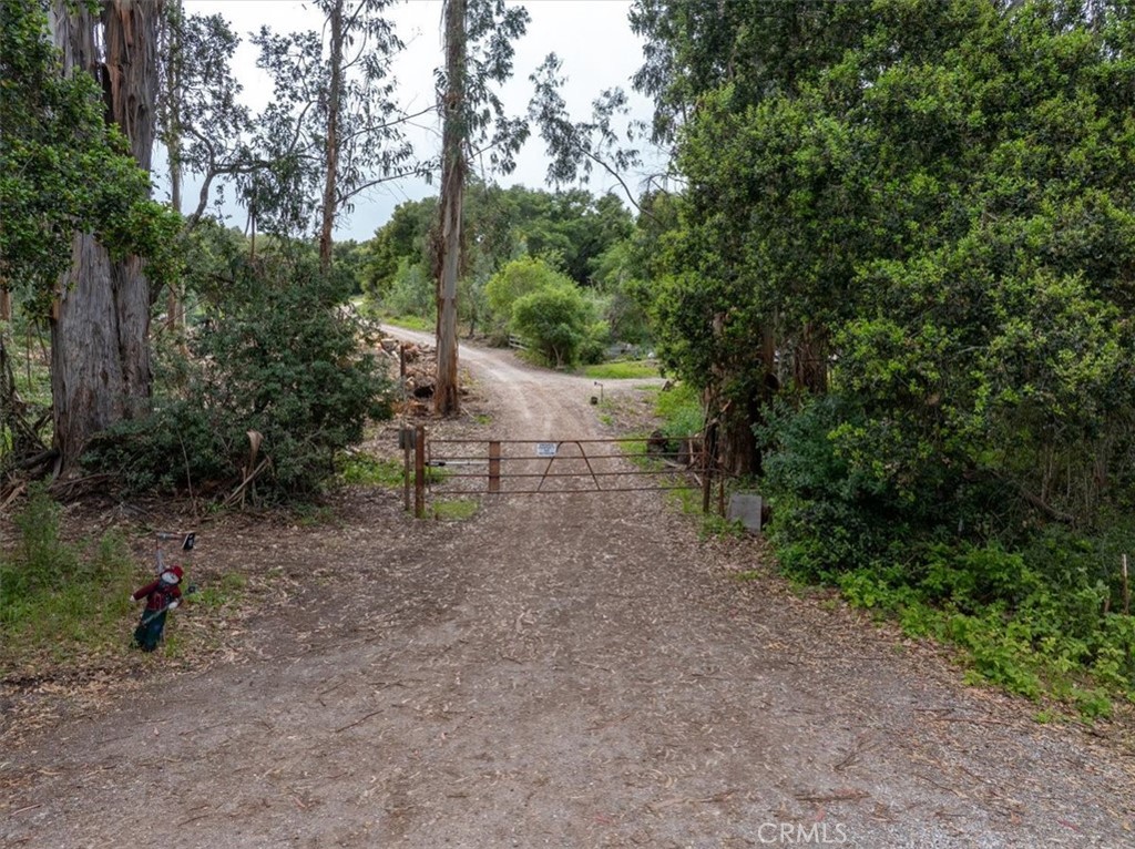 main property photo 26