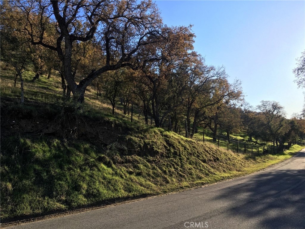main property photo 39