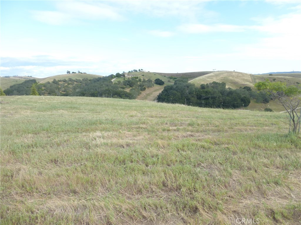 main property photo 54