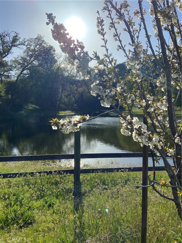 main property photo 56