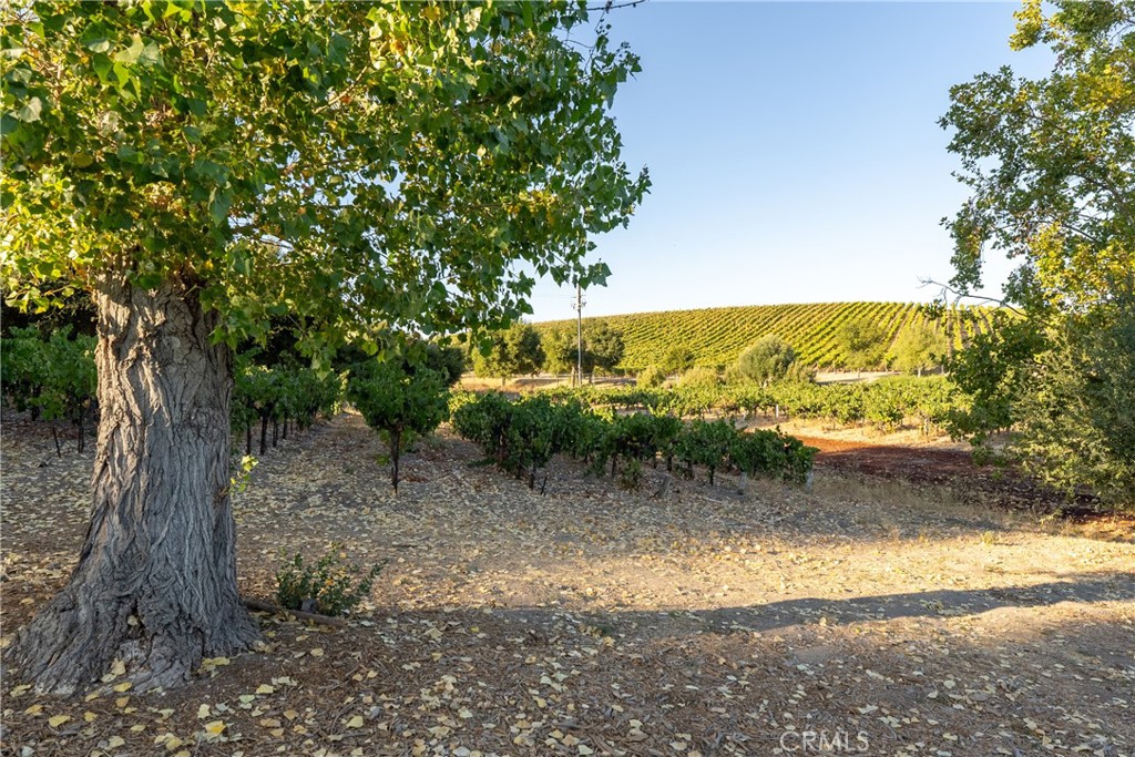main property photo 60