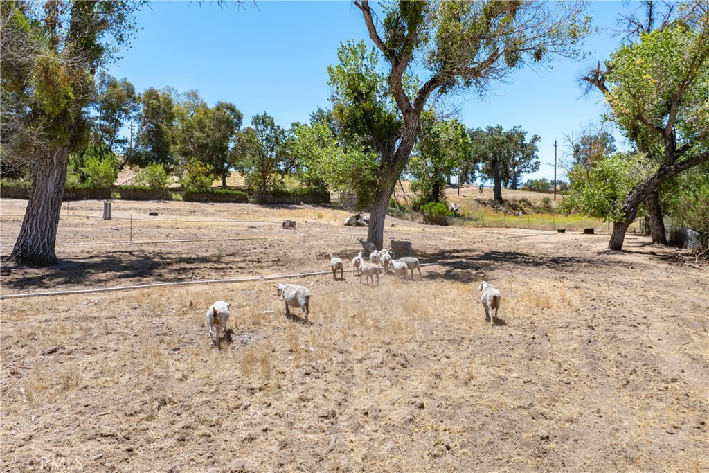main property photo 39