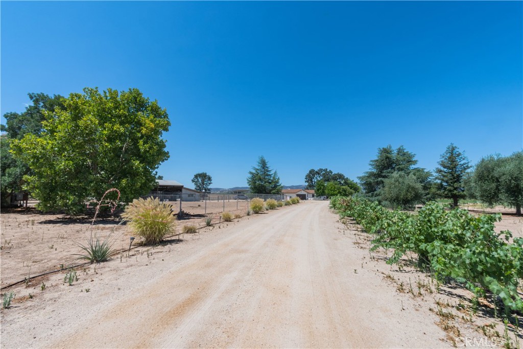main property photo 33