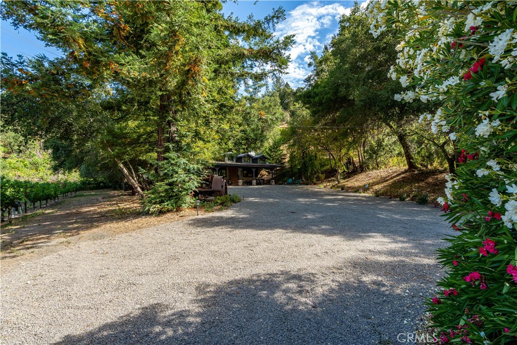 main property photo 57