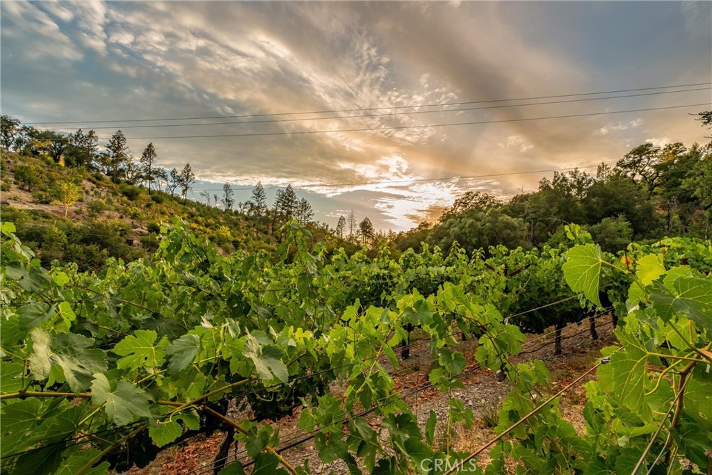 main property photo 60