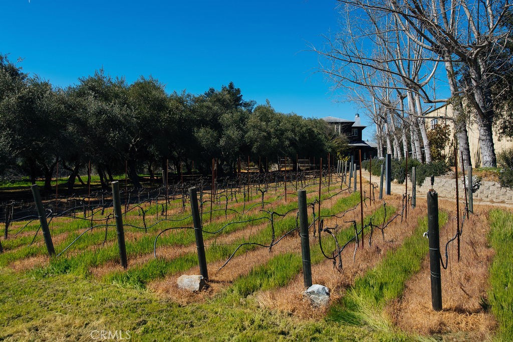 main property photo 62