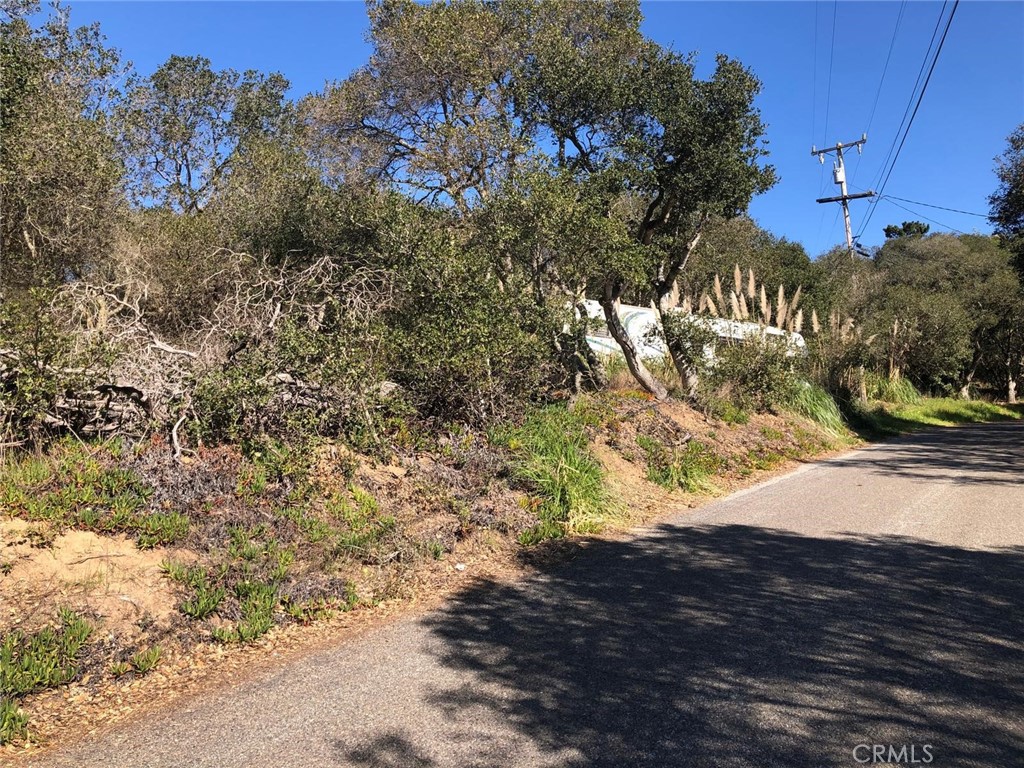 main property photo 26
