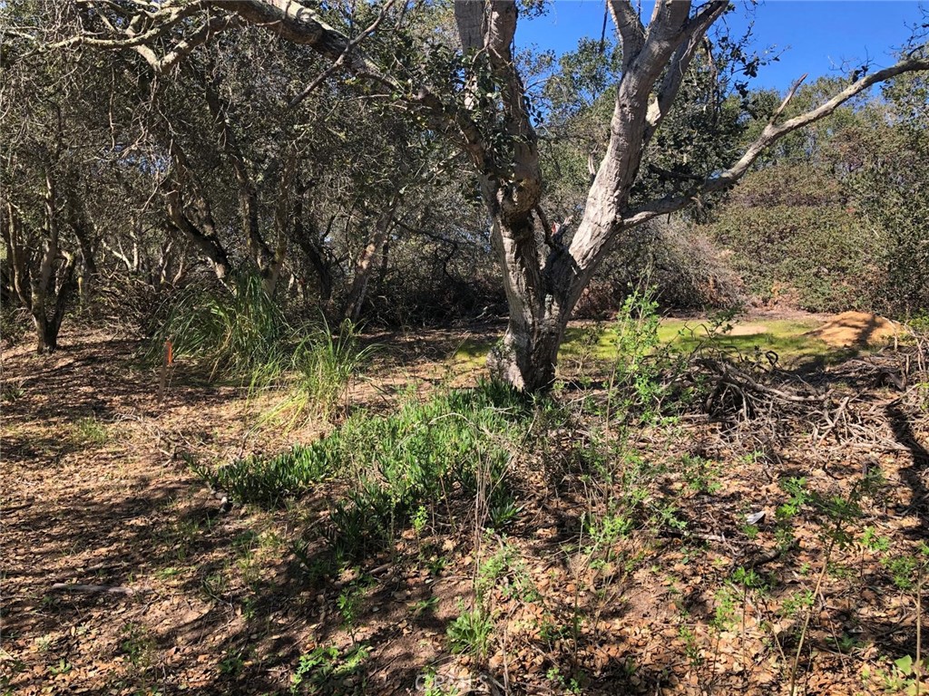 main property photo 27