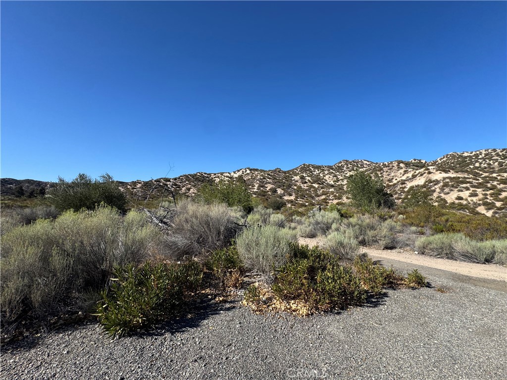 main property photo 10