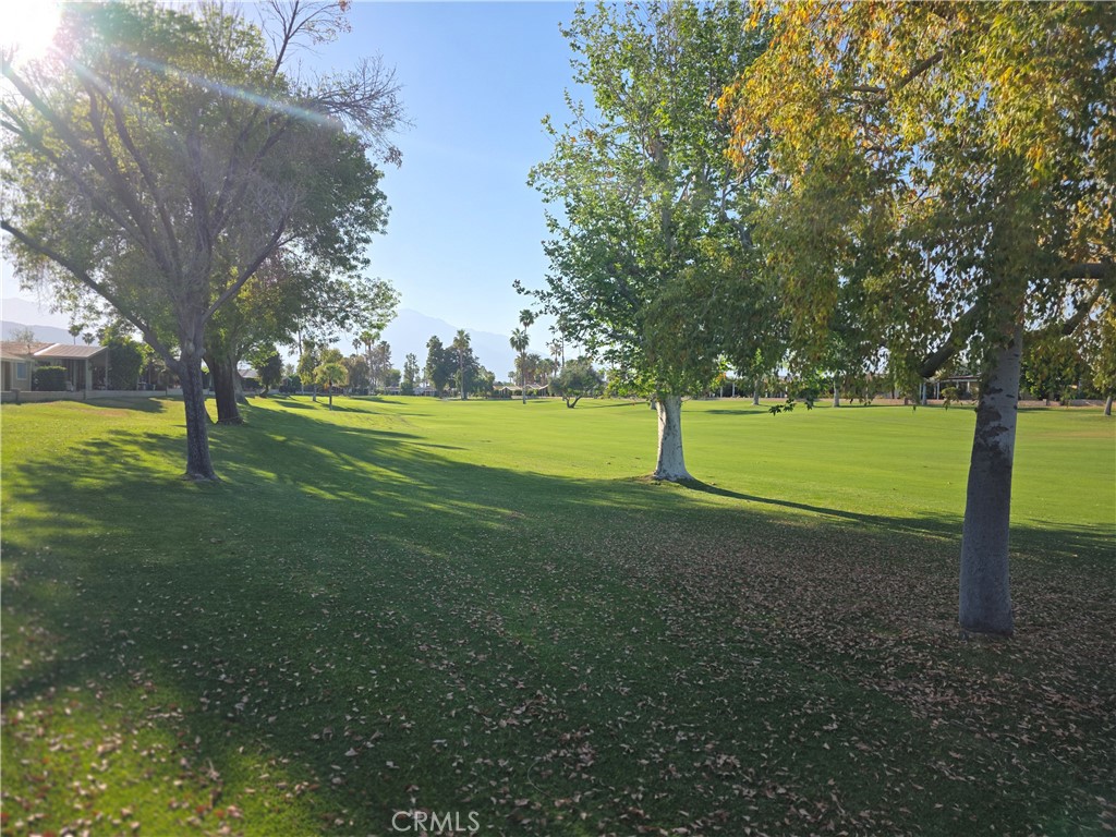 main property photo 53