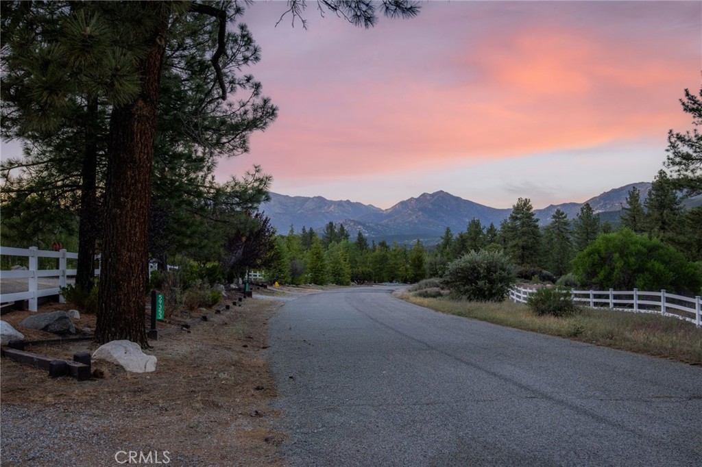 main property photo 56