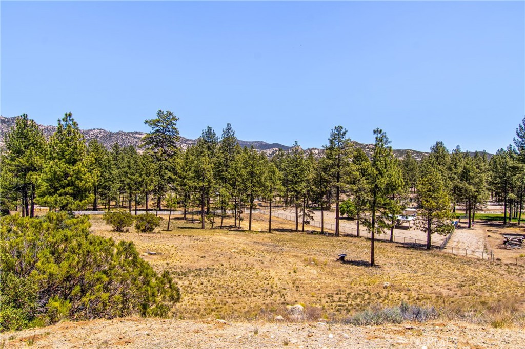 main property photo 61