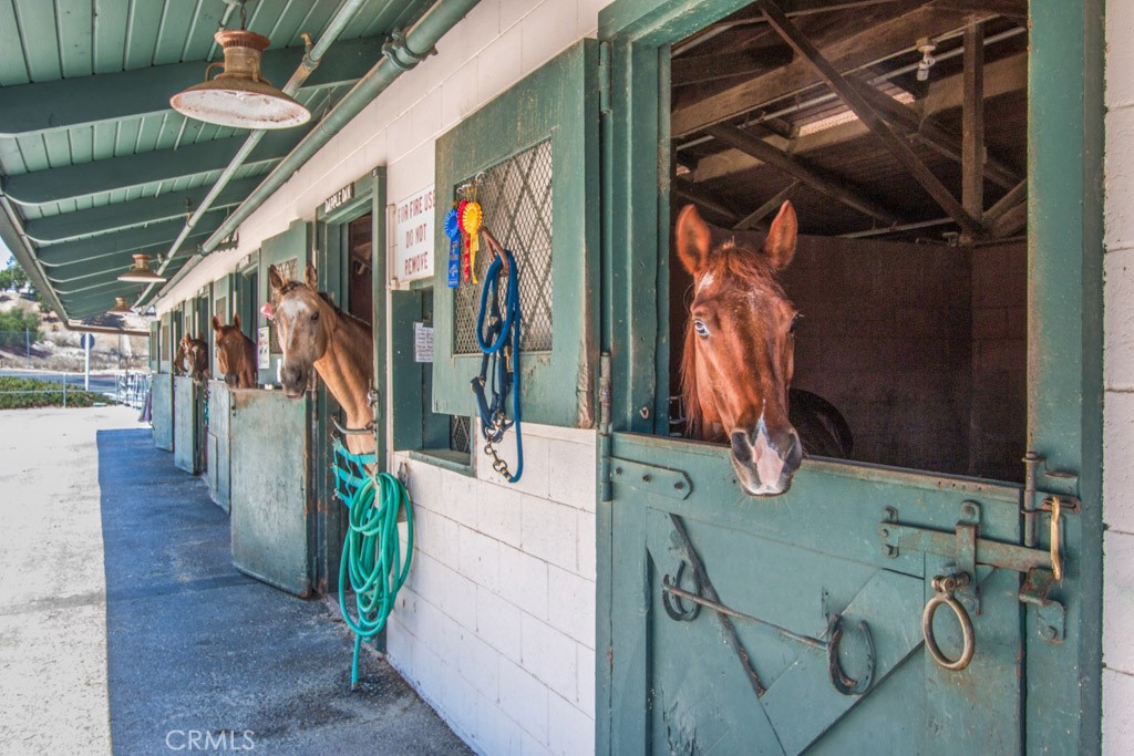 main property photo 50