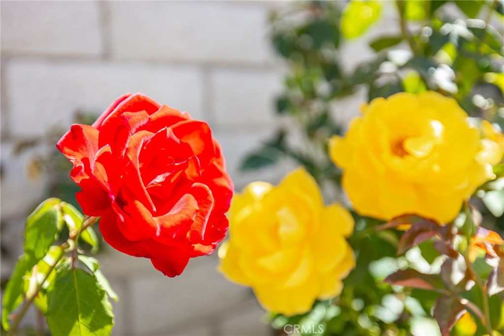 main property photo 58