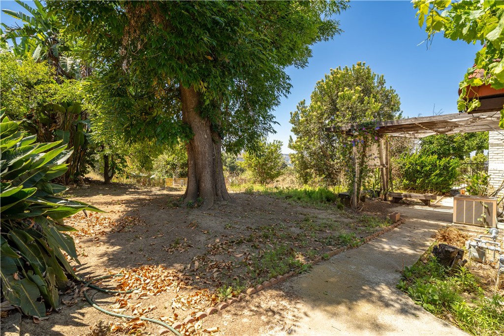 main property photo 53