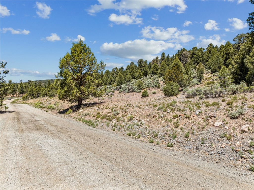 main property photo 28
