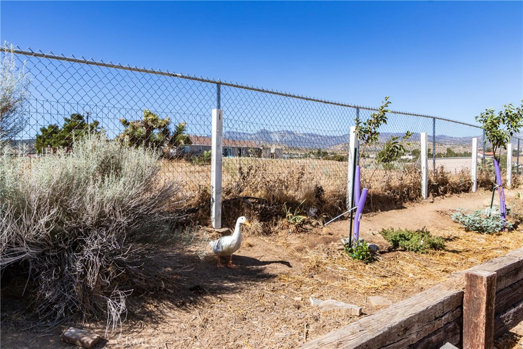 main property photo 55
