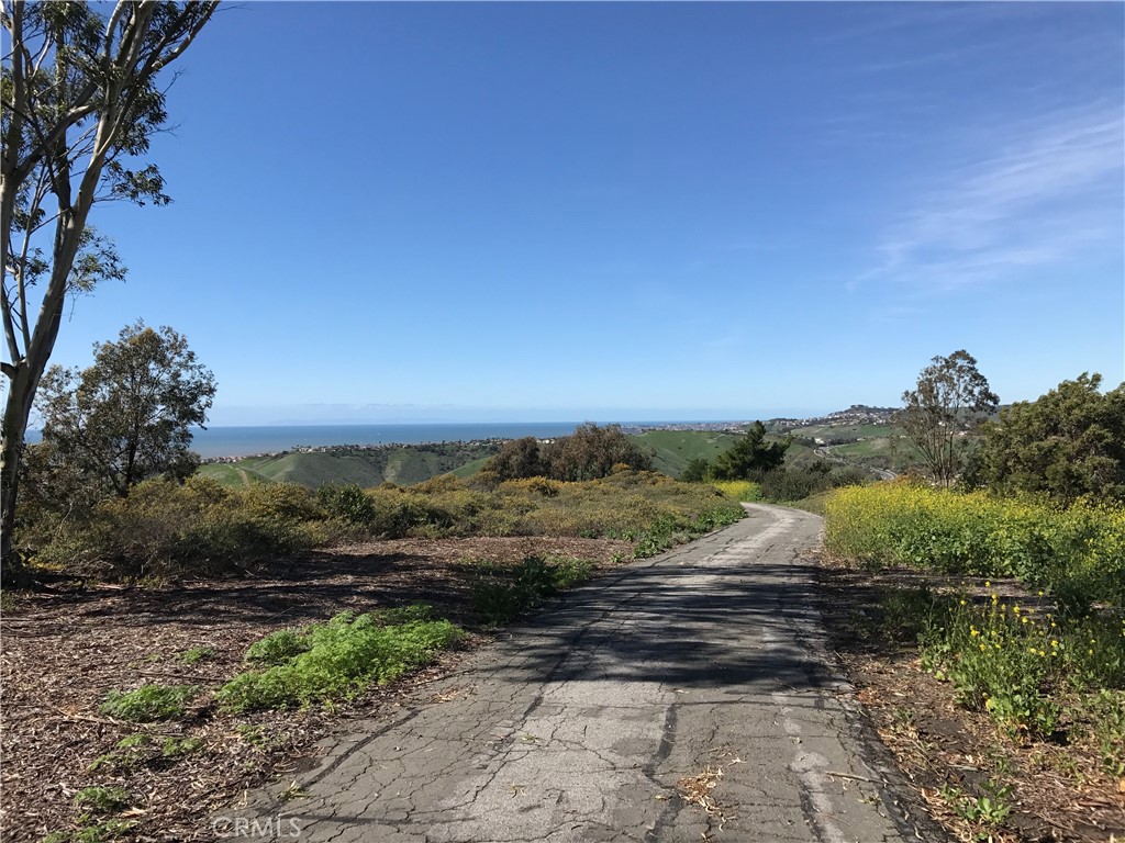 main property photo 57