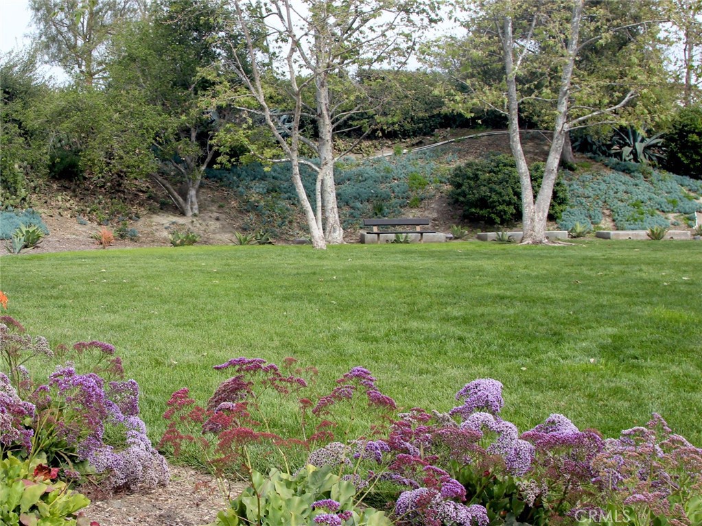 main property photo 62