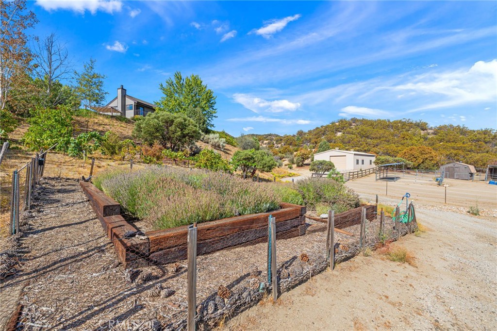 main property photo 56
