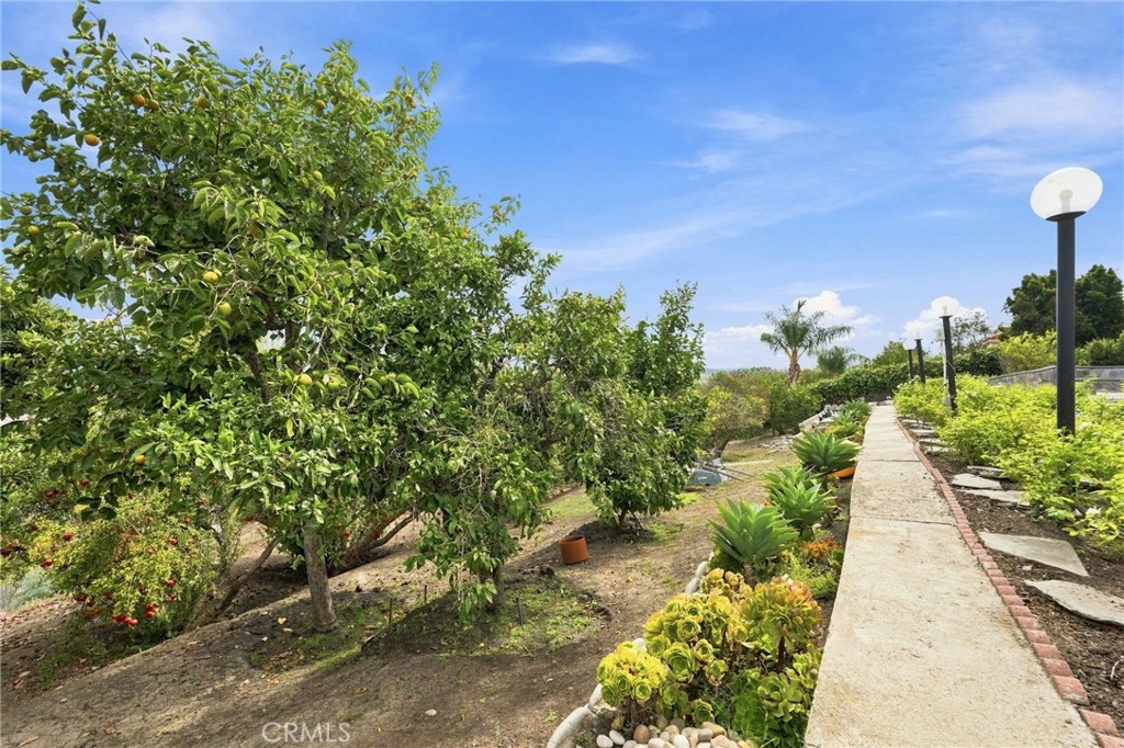 main property photo 63