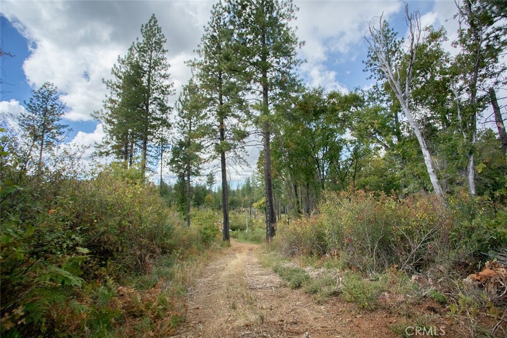 main property photo 13