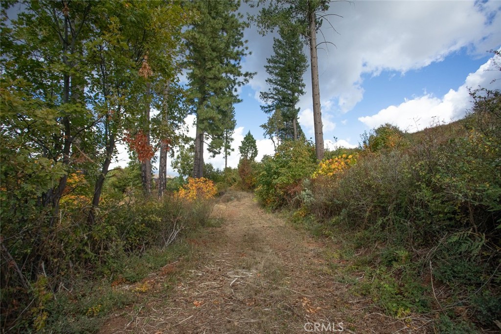 main property photo 36