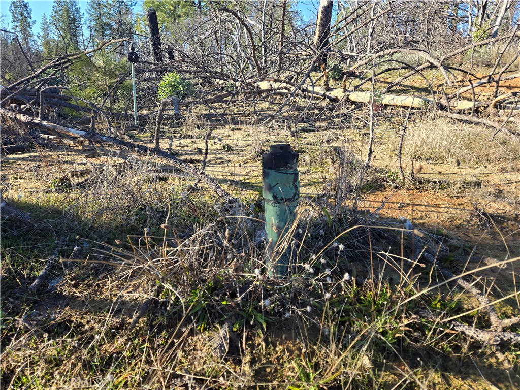 main property photo 11