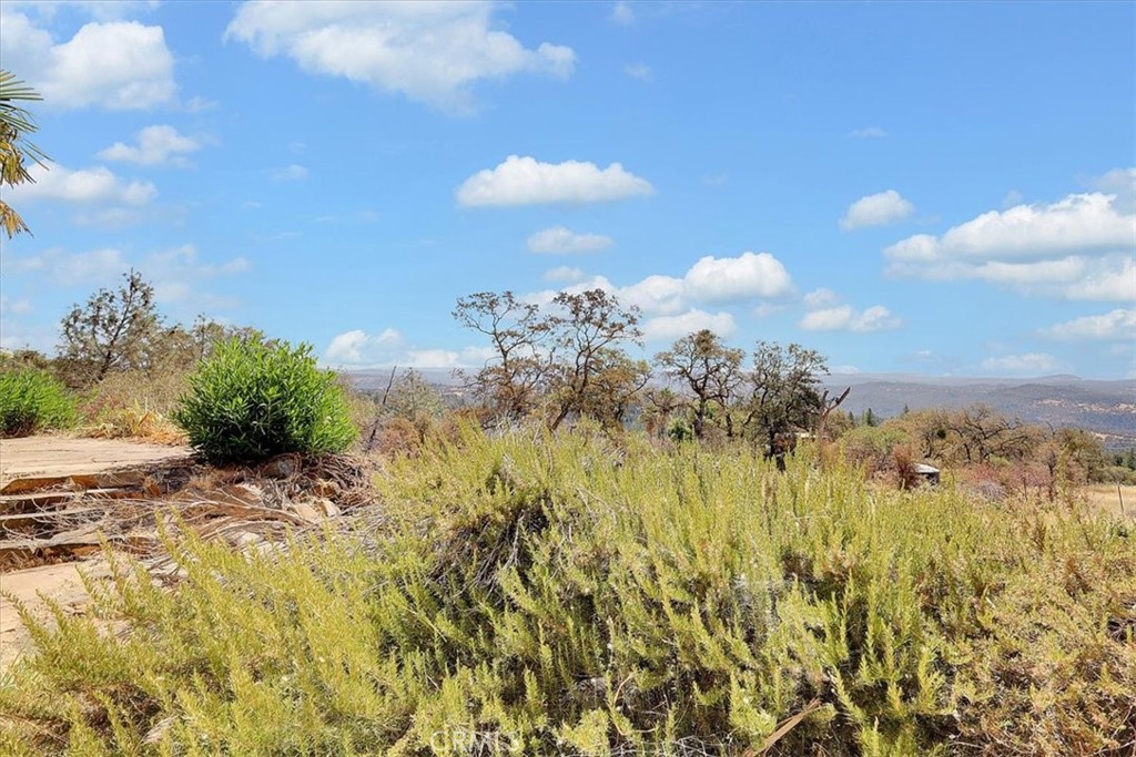main property photo 61