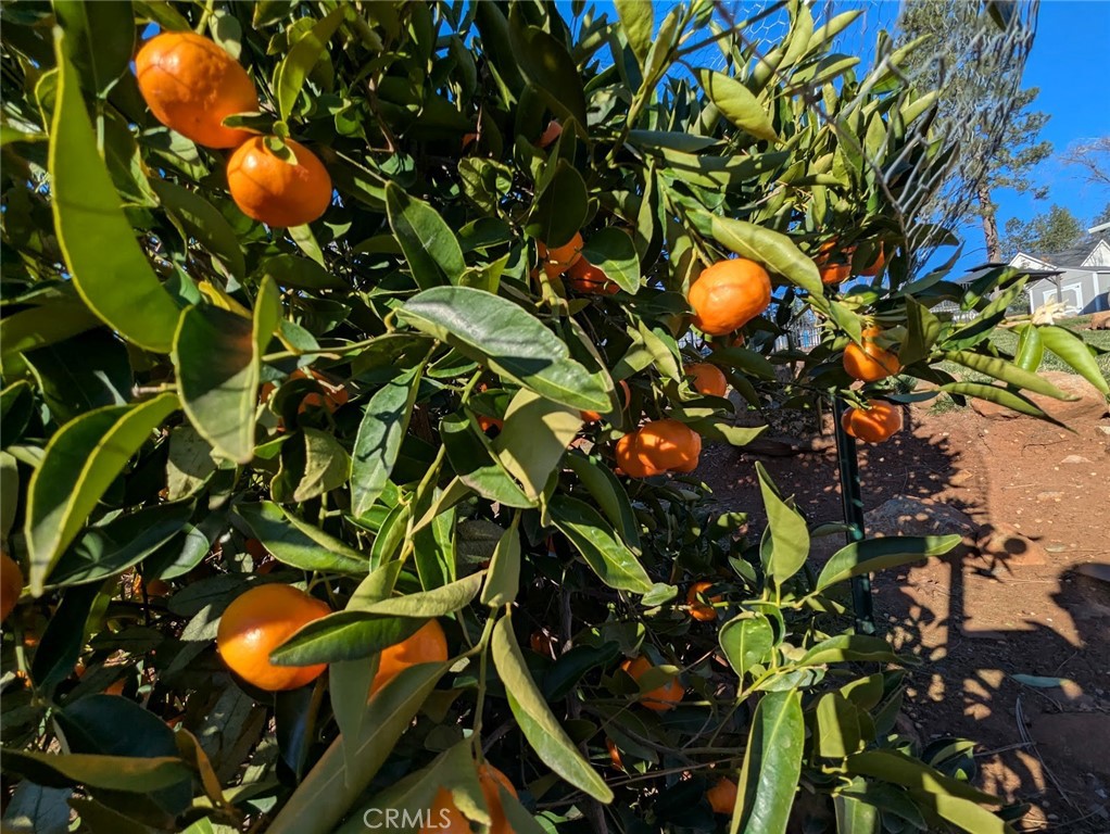 main property photo 49
