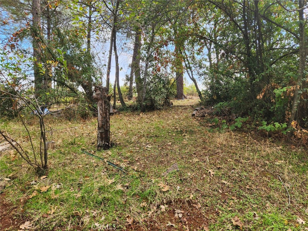 main property photo 40
