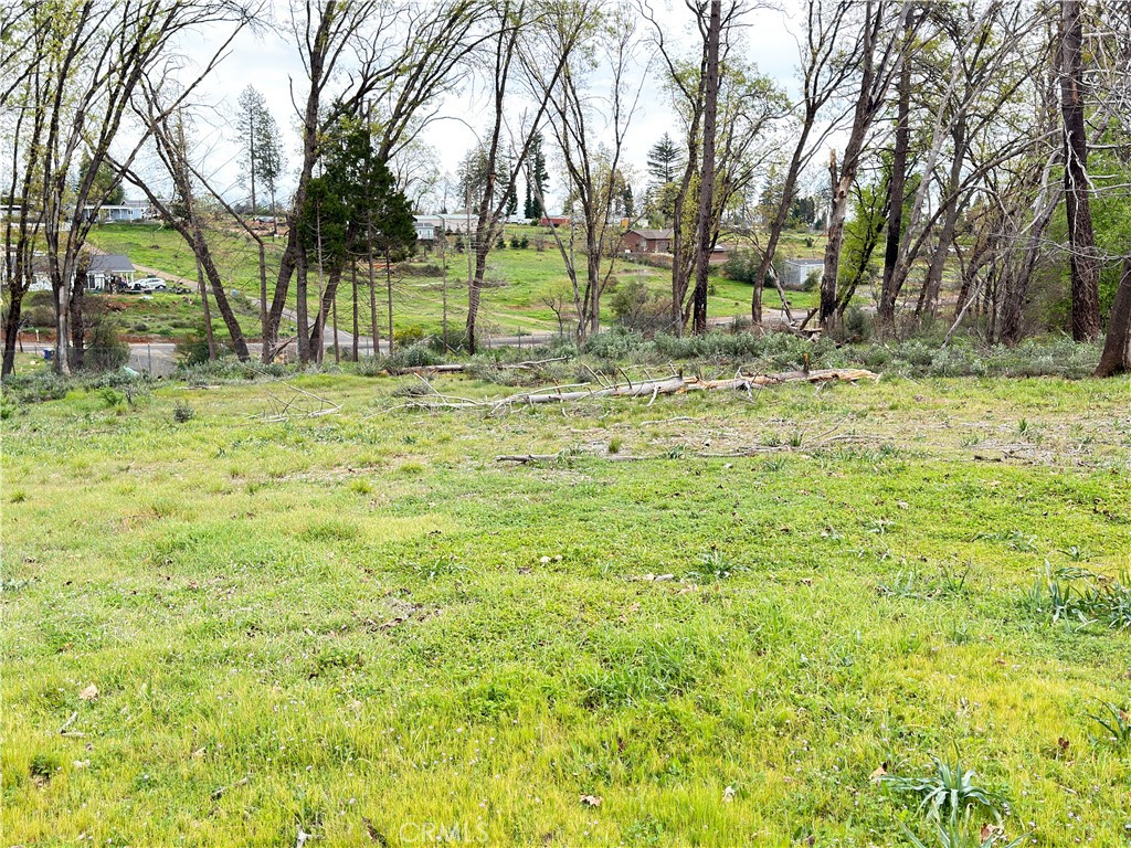 main property photo 35