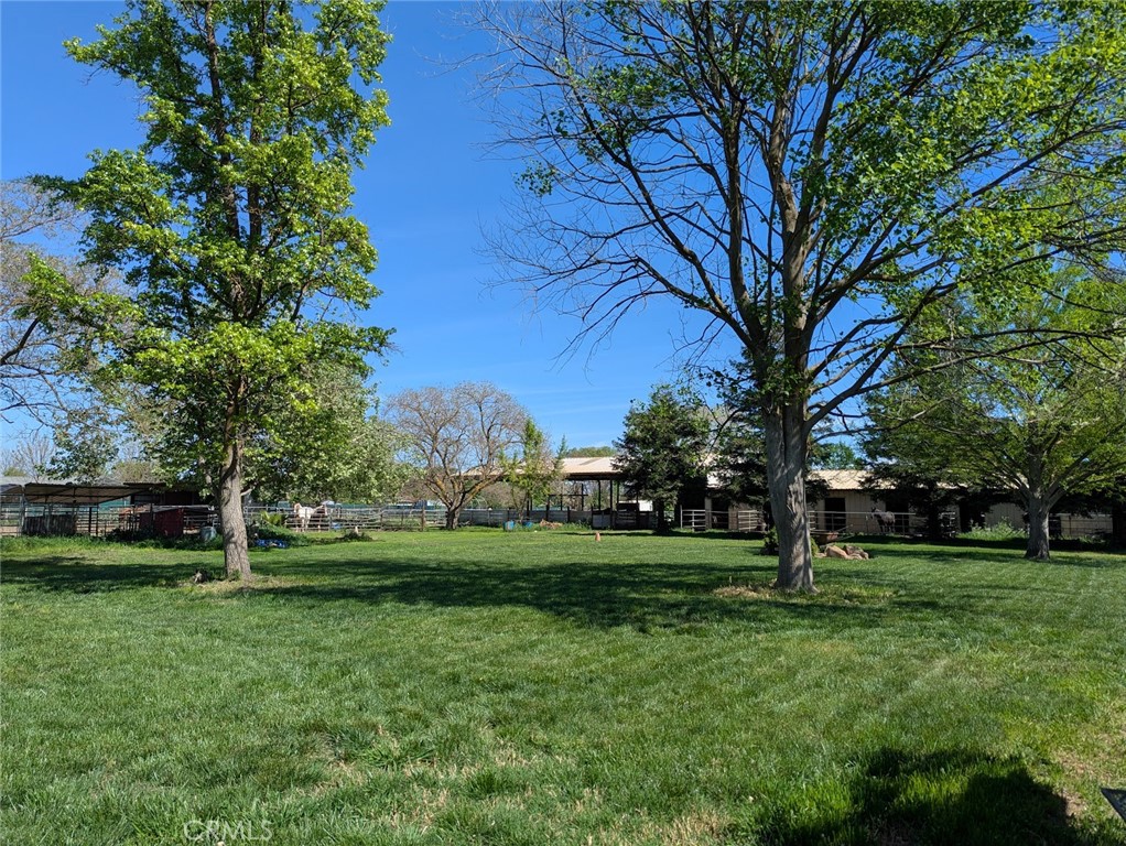 main property photo 37