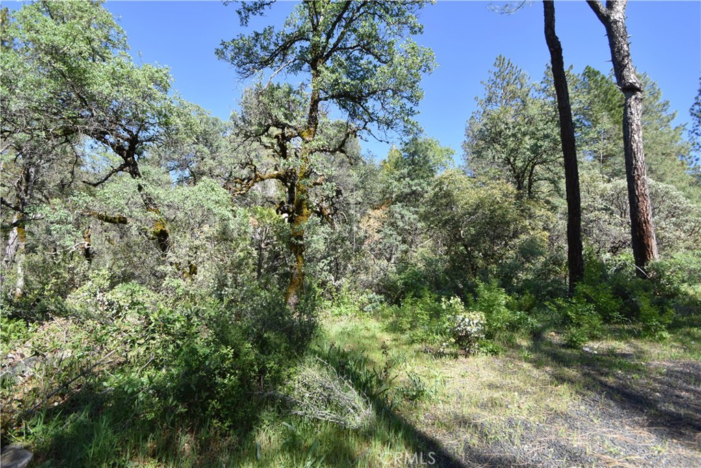 main property photo 10