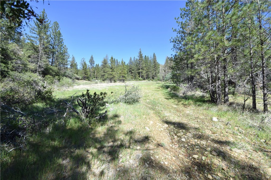 main property photo 11
