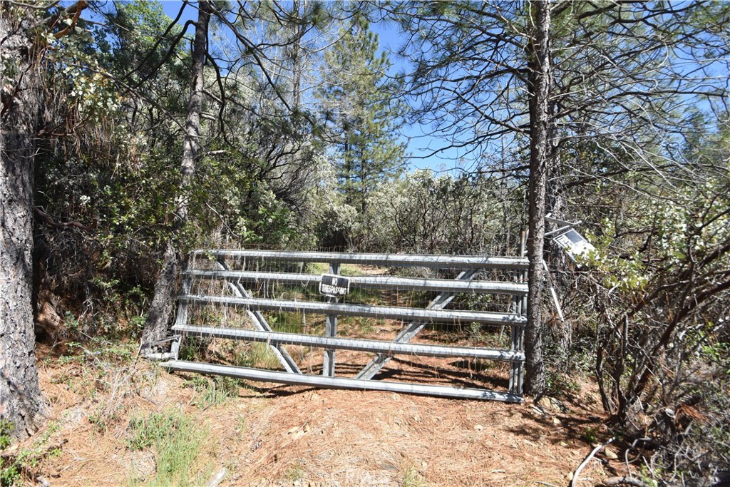 main property photo 28