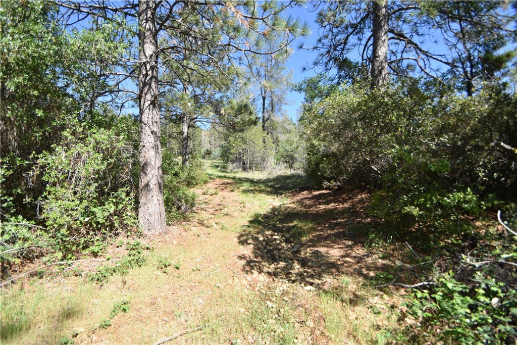 main property photo 7