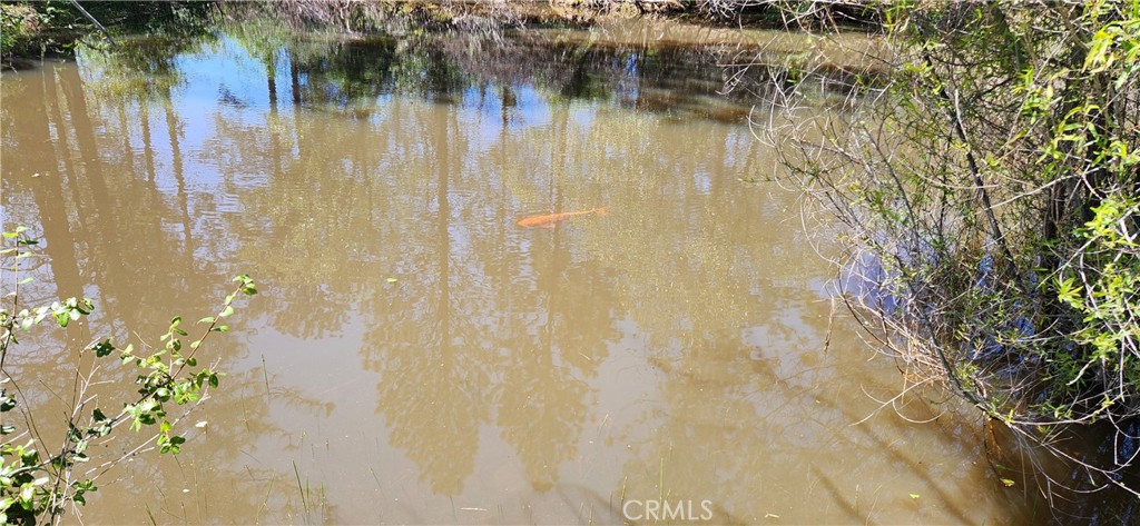 main property photo 41