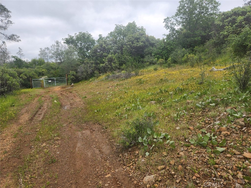 main property photo 22