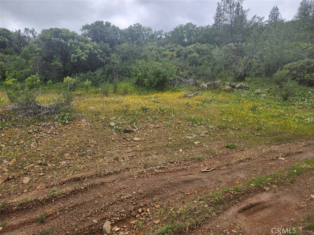 main property photo 25