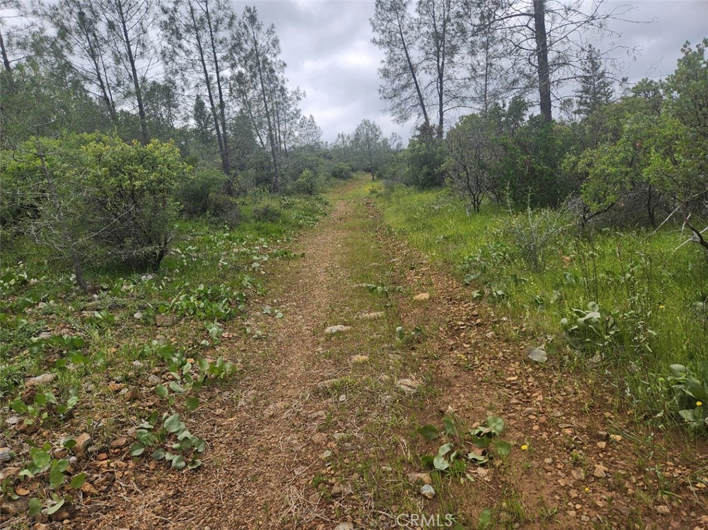main property photo 27