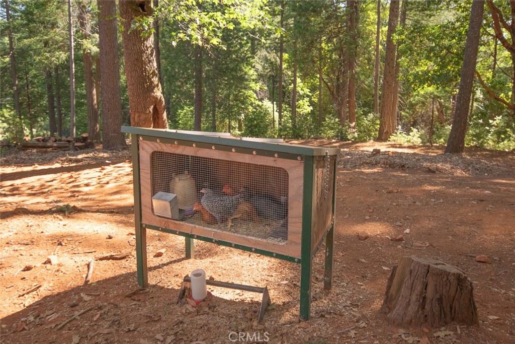 main property photo 58