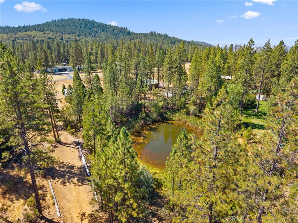 main property photo 53