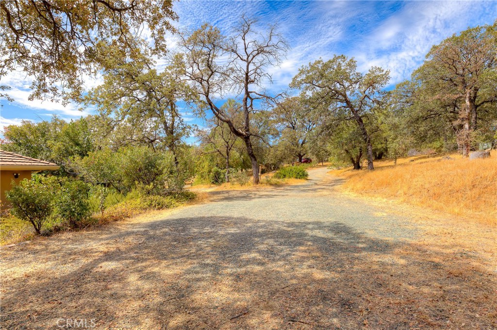 main property photo 50