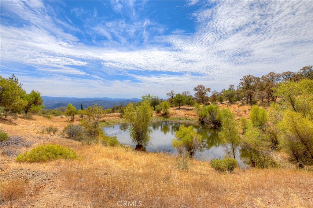 main property photo 52