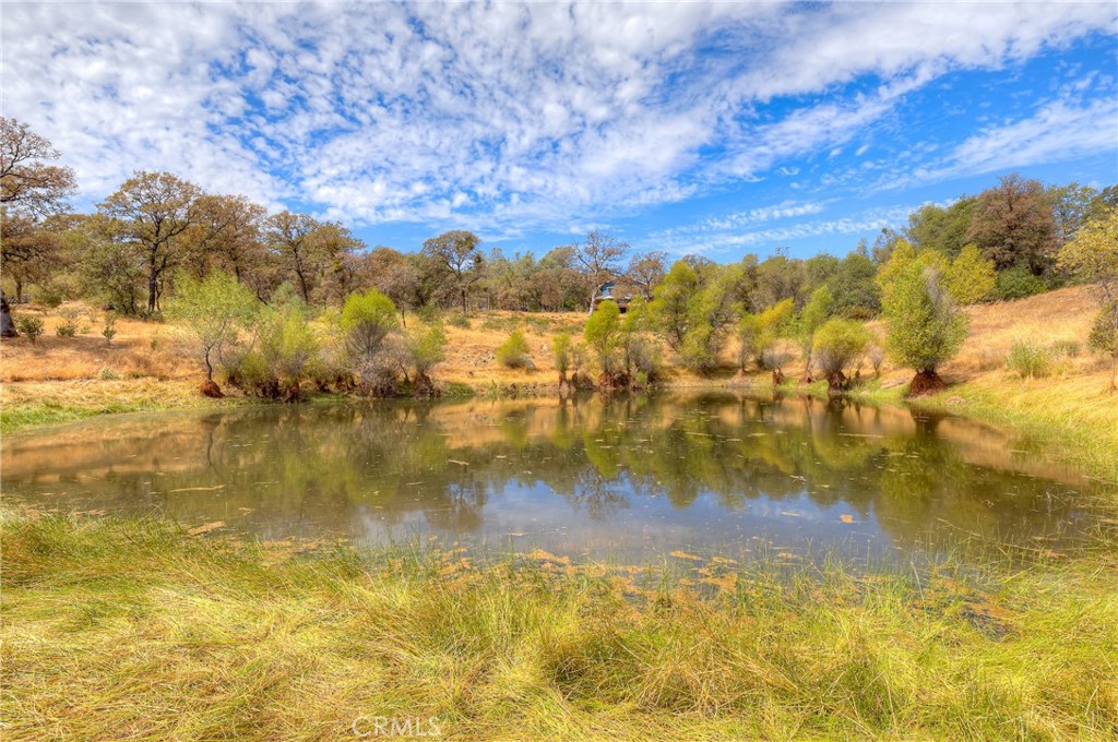main property photo 53